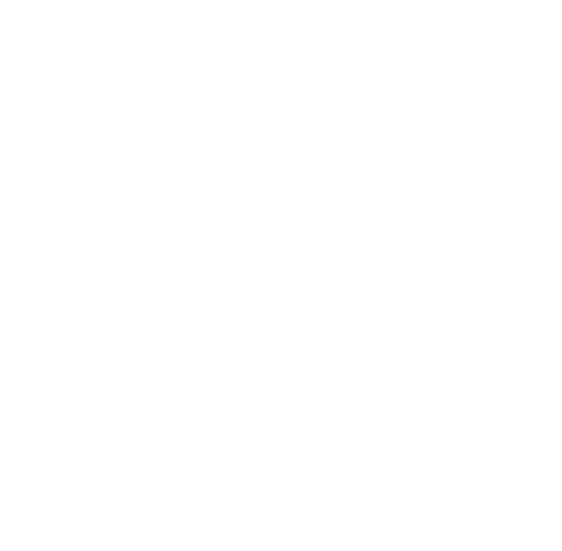 Logo_SemiVetorizada_Sem_fundo